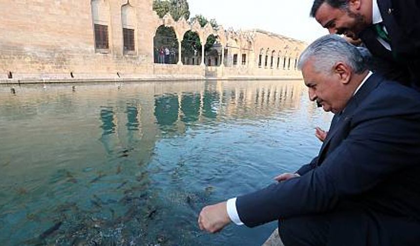 Başbakan Binali Yıldırım Balıklıgöl'de