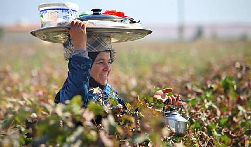 Her An Harran Foto Maraton 2