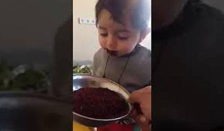 Doğuştan Has Urfalı- Şanlıurfa 63 COM