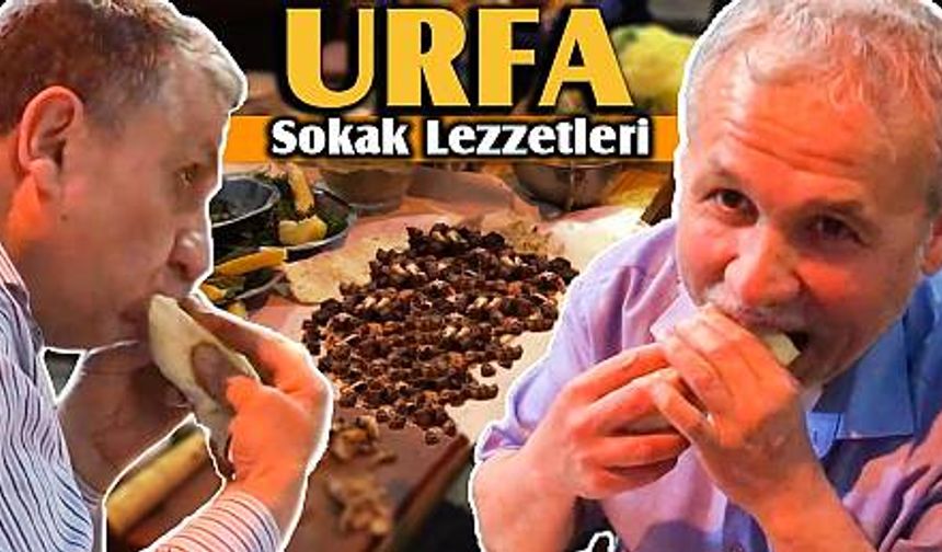 ŞANLIURFA'DA NEREDE NE YENİR | URFA SOKAK LEZZETLERİ