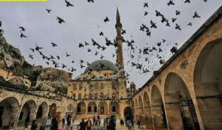 Evdeyim Halil ( Evdeyem Halle )