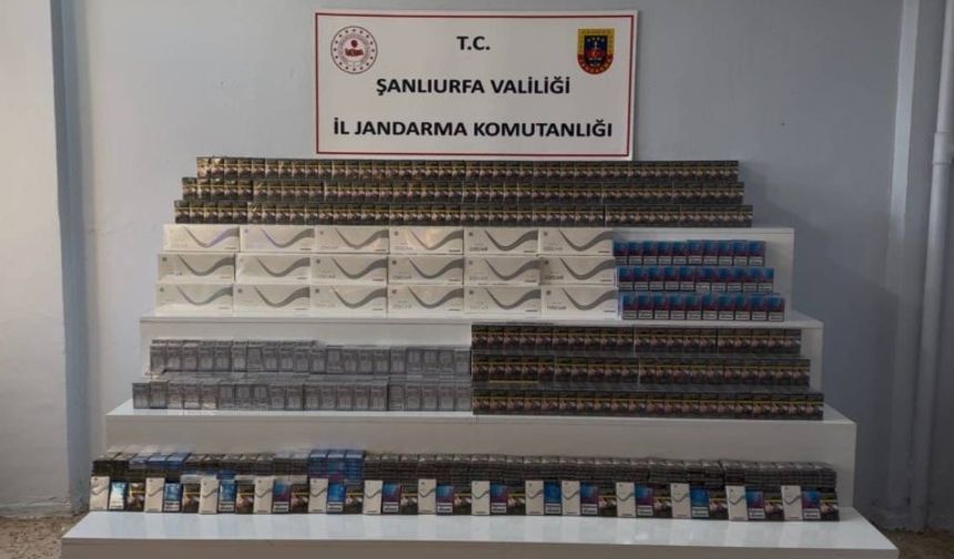 Şanlıurfa’da Jandarmadan Kararlı Kaçakçılık Mücadelesi