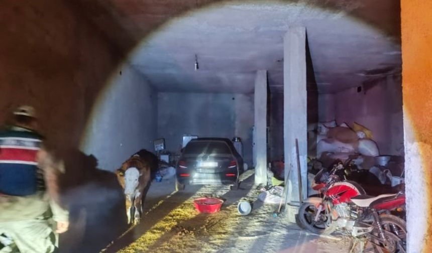 Şanlıurfa’da Jandarmadan Nokta Operasyon!