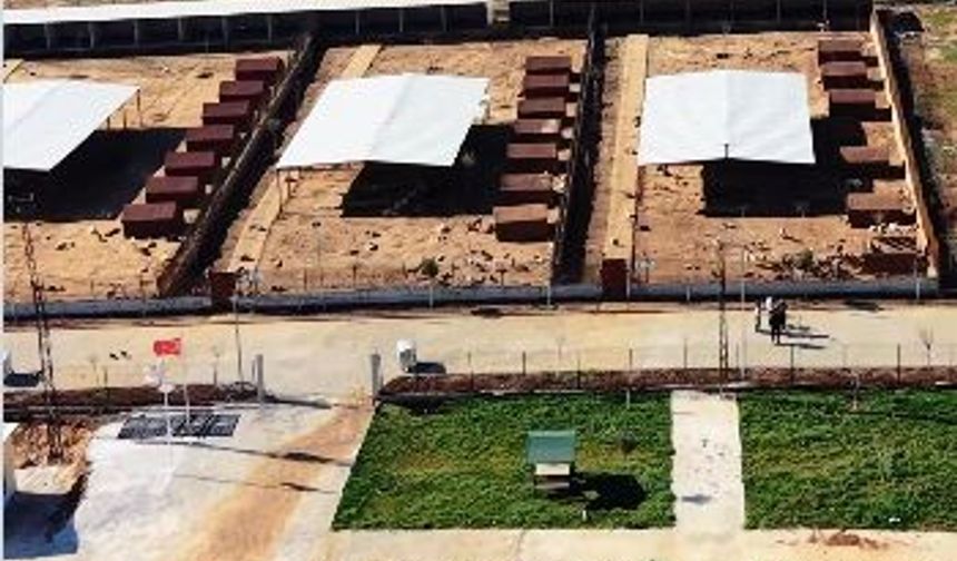 Hayvan Sevgisi Aşılandı: Viranşehir’de Örnek Ziyaret