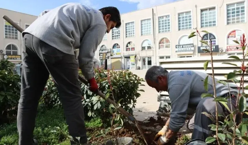 Şanlıurfa’da “Yeşil Bir Urfa” Seferberliği: Kentin Dört Bir Yanı Yeşilleniyor