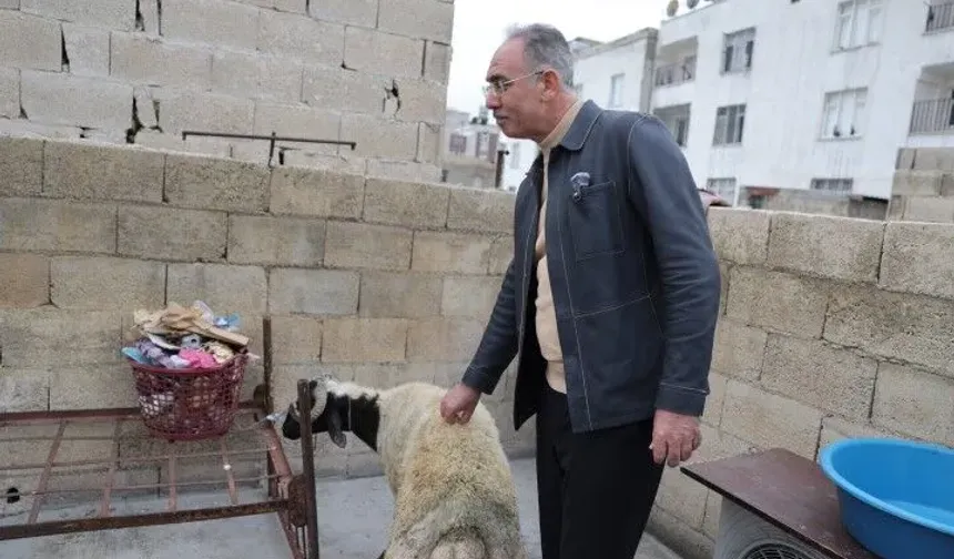 Ramazan Öncesi Binlerce Aileye Büyük Destek