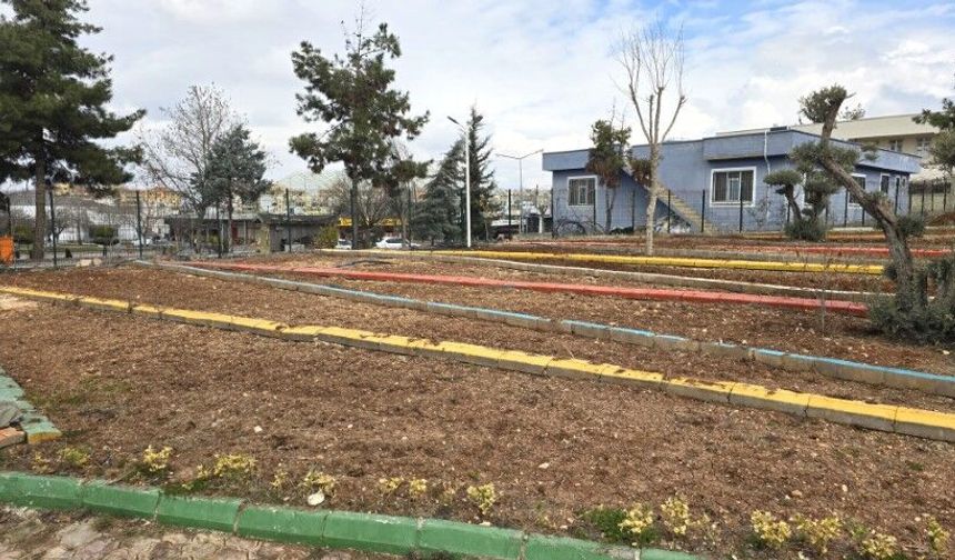 Şanlıurfa’da Binlerce Fidan Toprakla Buluşuyor