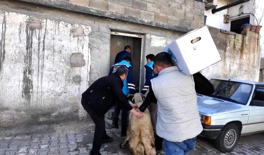 Eyyübiye’de Ramazan’da Yetim ve İhtiyaç Sahiplerine Destek Devam Ediyor!