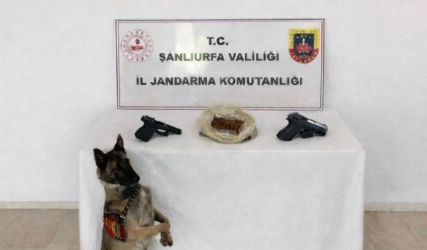 Şanlıurfa Eyyübiye’de Narkotik Suçlara Geçit Yok!