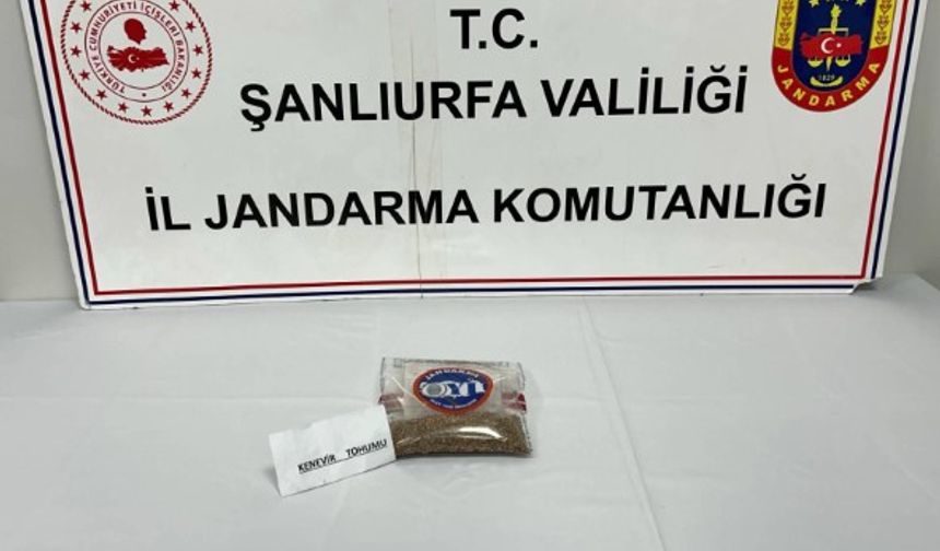 Şanlıurfa İl Jandarma Komutanlığı’ndan Kararlı Mücadele!