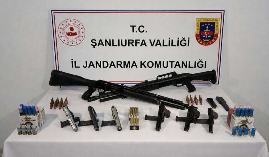 Şanlıurfa’da Jandarmadan Silah Operasyonu Çok Sayıda Silah Ele Geçirildi