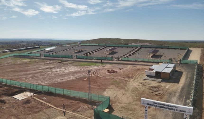 Şanlıurfa’da 27 Bin 960 Sahipsiz Hayvan Bakımevlerine Alındı