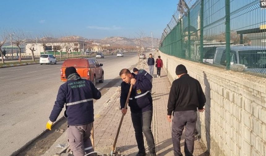 Şanlıurfa’da Yeşil Dokunuş: Mevlana Ve Sadun Paşa Caddeleri Ağaçlandırılıyor!