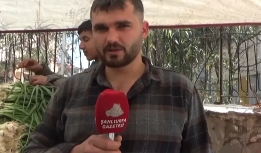 Pazarda Fiyat Alarmı: Marul Ve Patlıcan El Yakıyor!