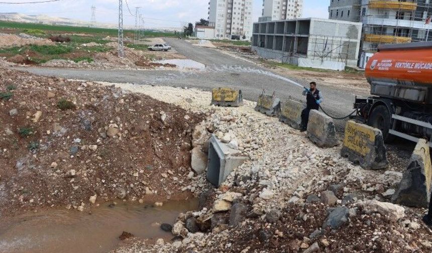 Şanlıurfa Büyükşehir’den Yoğun Mesai! Sivrisinekler İçin Sahada