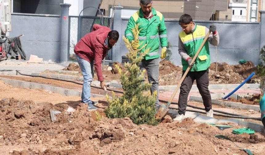 Şanlıurfa Karaköprü Belediyesi’nden Yeşil Alan Hamlesi!