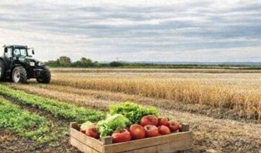 Şanlıurfa’da Tarımda Dijitalleşme Hamlesi: B-Reçete Sistemi Tanıtılacak!