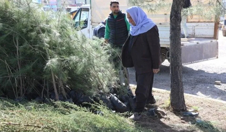 Viranşehir’de Fidanlar Toprakla Buluşuyor!