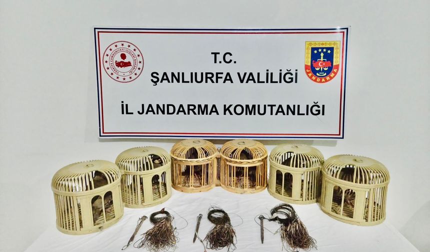 Şanlıurfa Akçakale’de Kaçak Avcılara Operasyon!