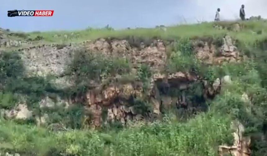 Şanlıurfa’da Uçurumda Mahsur Kalan Keçiler Kurtarıldı