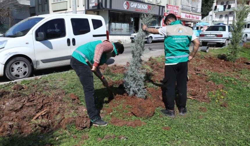 Şanlıurfa Haliliye’de Yeşil Alanlar Baştan Sona Yenileniyor!