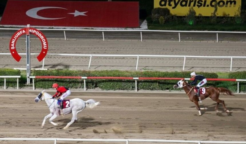 Şanlıurfa Hipodromu’nda Kurtuluş Coşkusu: Yarışı “Anadolu Gücü” Kazandı!
