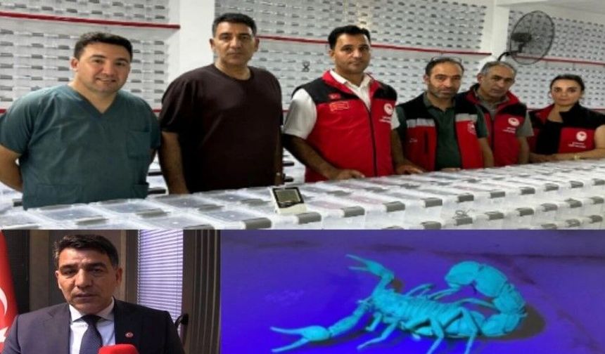 Şanlıurfa Merkezli Bioventec’ten “İğnesiz Botoks” Kremi: Akrep Zehriyle Yeni Dönem İddiası