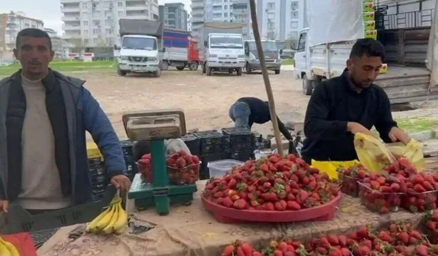Şanlıurfa Pazarlarında Etiketler Cep Yakıyor: Karpuz Dilimle Satışa Düştü