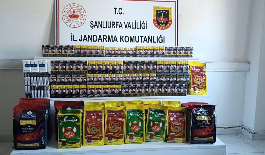 Şanlıurfa’da Jandarmadan Kaçakçılara Büyük Darbe