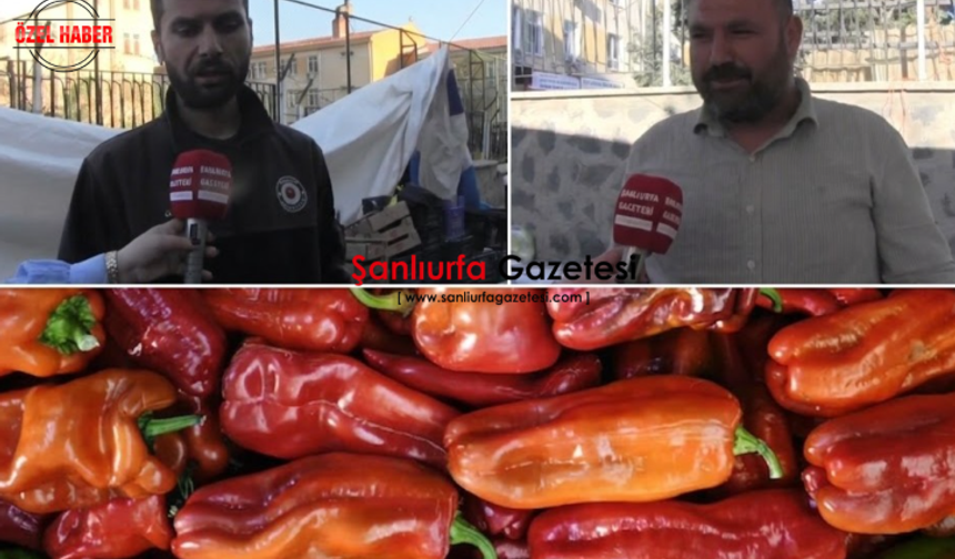 Şanlıurfa’da Pazar Yoğunluğu Dikkat Çekti: Fiyatlar Tartışma Konusu