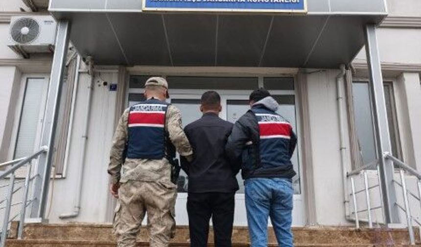 Şanlıurfa Harran’da Dolandırıcılık Hükümlüsü Yakalandı!