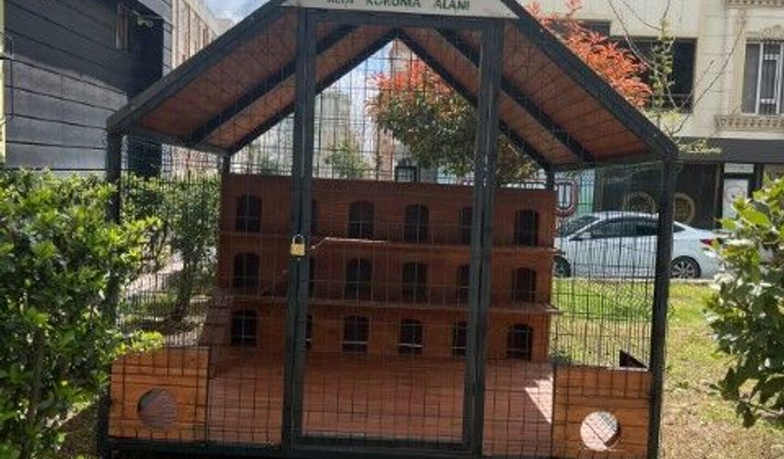 Şanlıurfa’da “Kedi Koruma Alanı” Projesi Hayata Geçti
