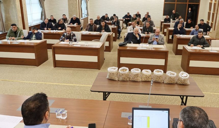 Şanlıurfa’da Fıstık Piyasasında Yeni Dönem!