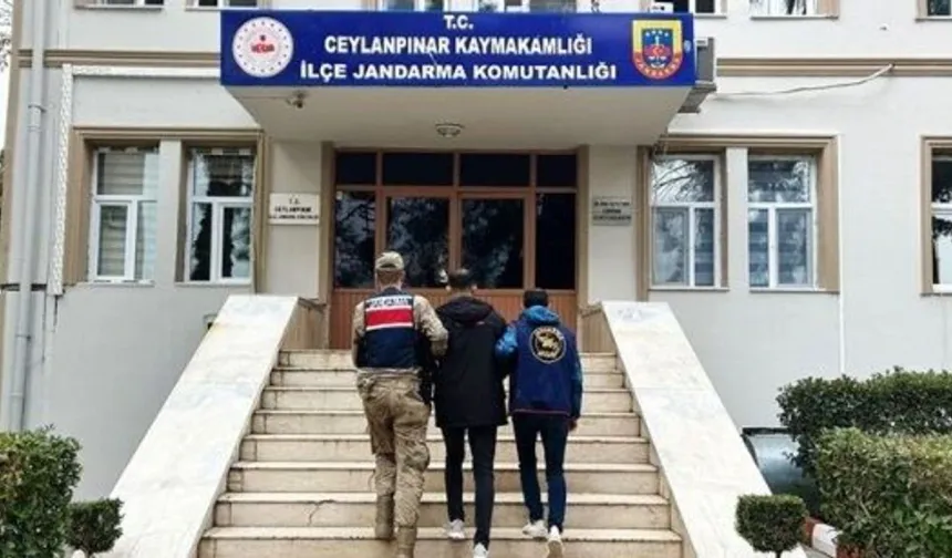 Ceylanpınar’da Operasyon: Firari Adliyeye Sevk Edildi