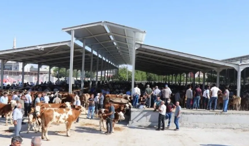 Karaköprü Belediyesi’nden Kurban Bayramı Düzenlemesi