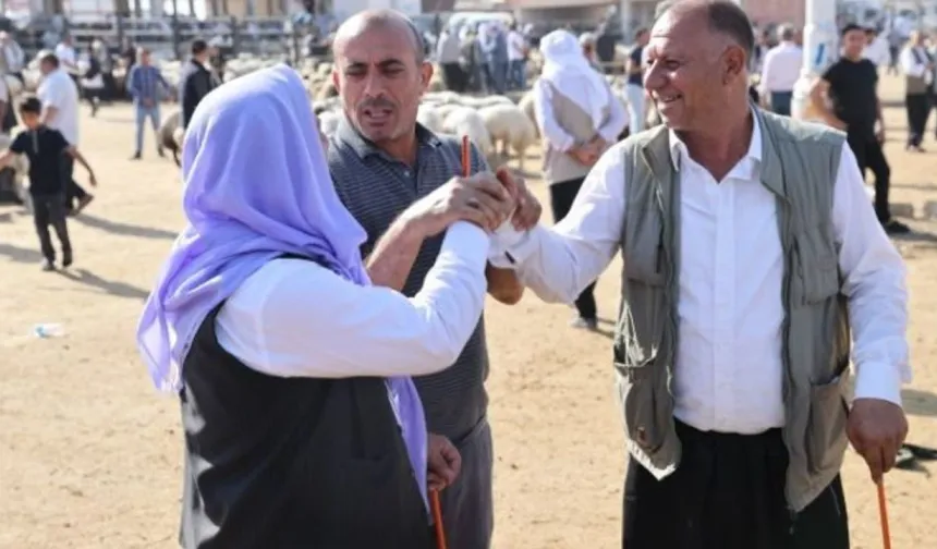 Kurban Pazarı Hareketlendi: Şanlıurfa’da Güncel Rakamlar