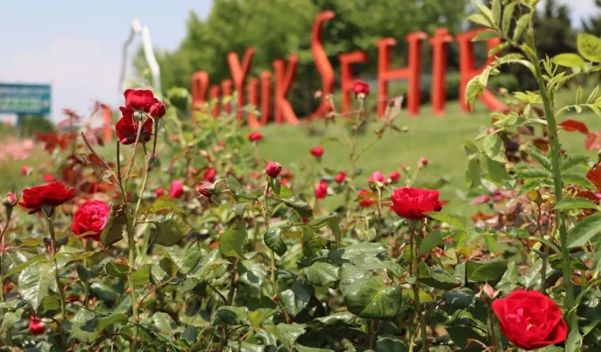 Büyükşehir Belediyesi’nden Üreten Belediyecilik Örneği