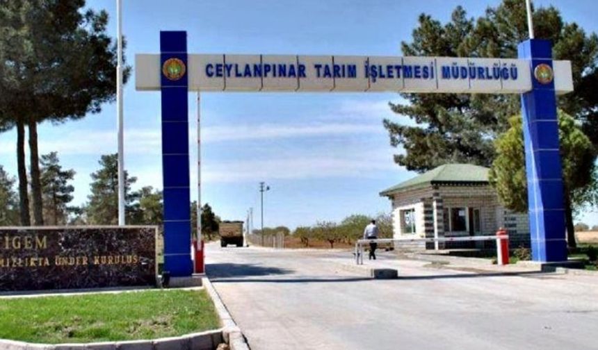 Ceylanpınar Tarım İşletmesi İçin İhale Duyurusu