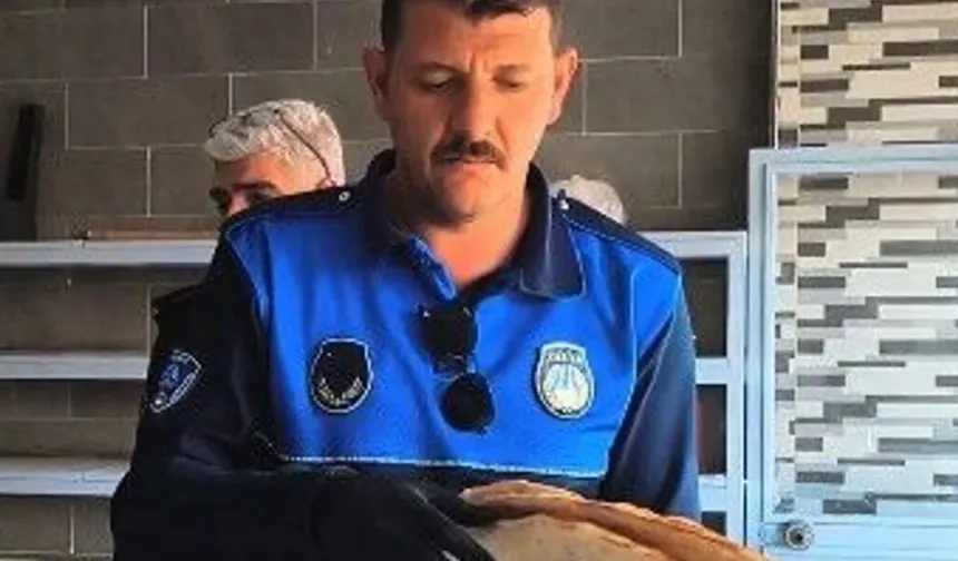 Eyyübiye’de Gıda Denetimleri Aralıksız Sürüyor!