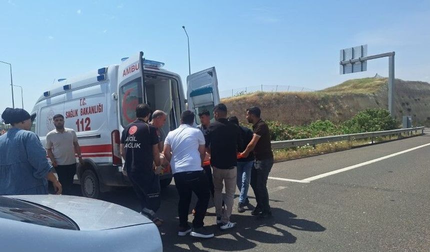 Şanlıurfa Birecik’te Can Pazarı Yaşandı
