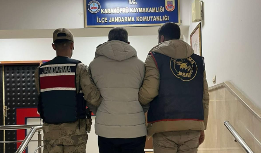 Şanlıurfa Ceylanpınar’da göçmen kaçakçılığından aranan hükümlü yakalandı