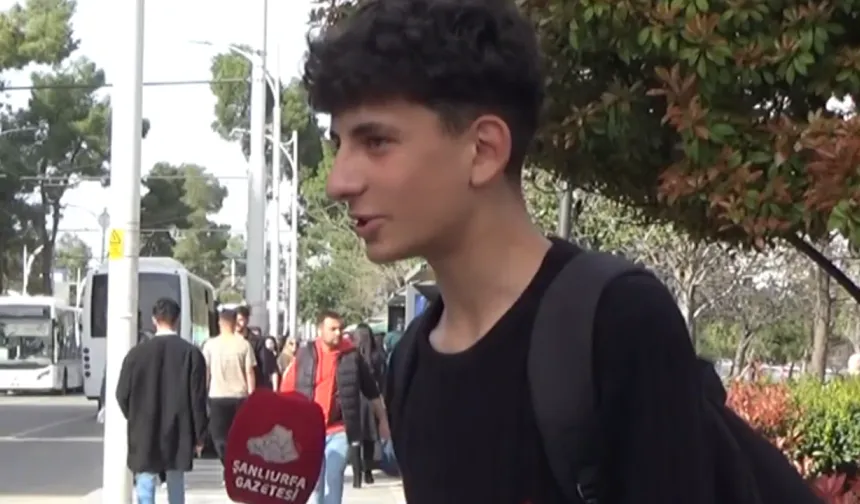 Sokak Hayvanları İçin Yemek Ve Su Çağrısı