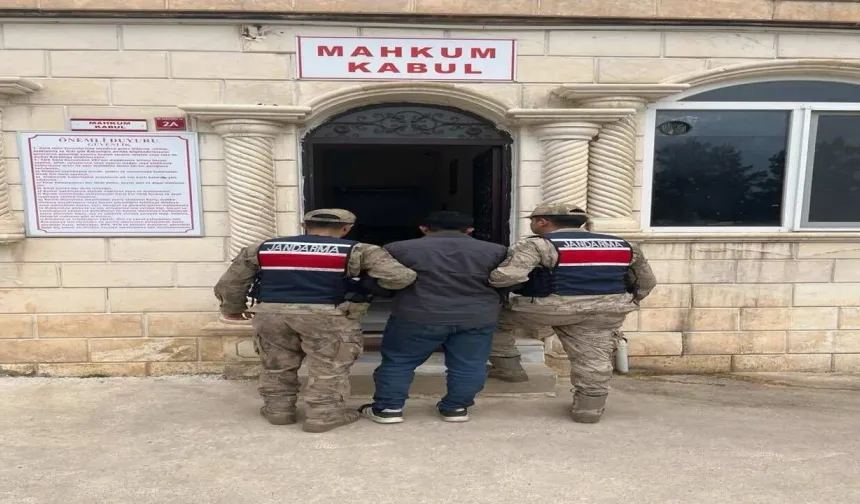 Şanlıurfa’da Jandarma Ekiplerinden Nefes Kesen Operasyon