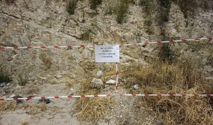 Yol Kenarında Kurban Satana Yasal İşlem Uygulanacak!