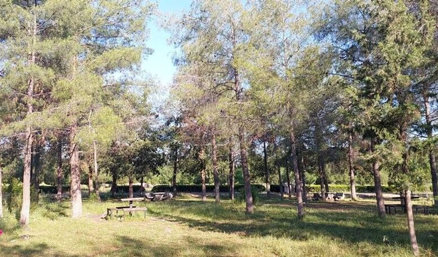 Şanlıurfa’da Sulutepe Piknik Alanının Son Hali Tepki Çekti