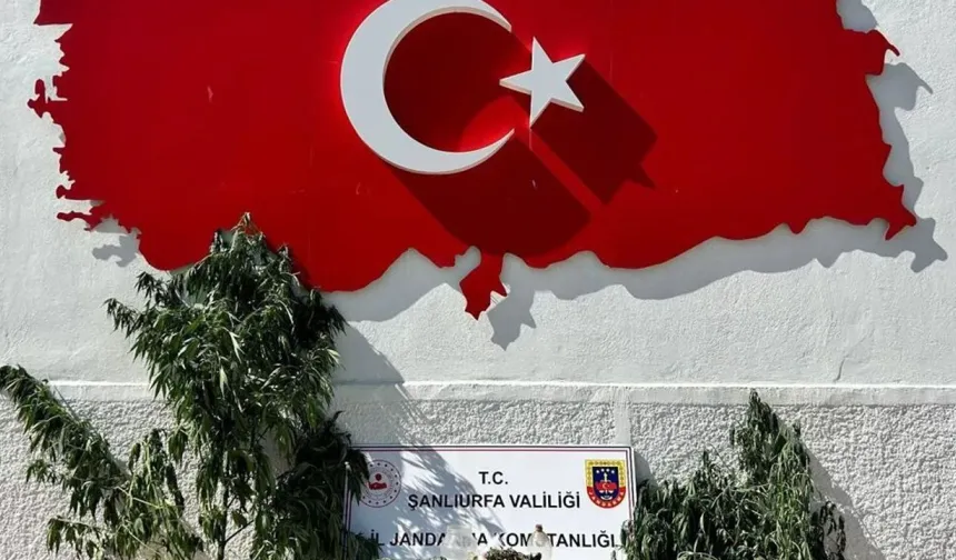 Şanlıurfa Hilvan'da Kenevir Ekili Adrese Baskın
