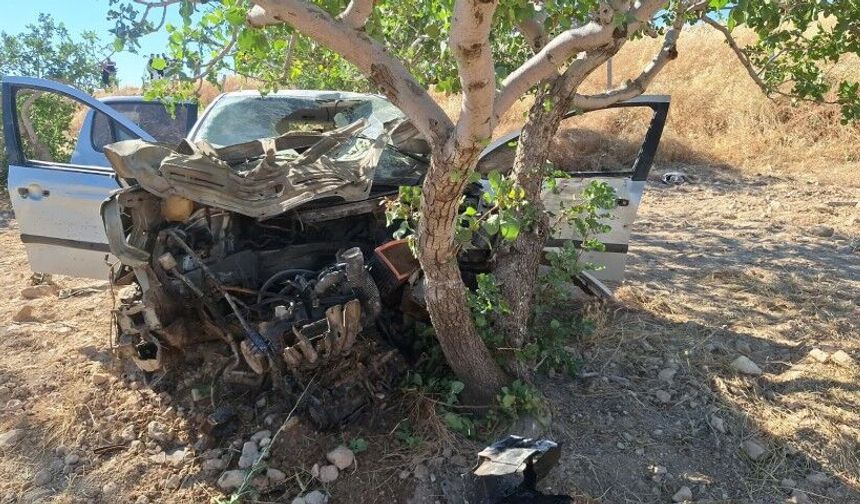 15 Metrelik Uçurumdan Tarlaya Uçan Araç Dehşet Saçtı!