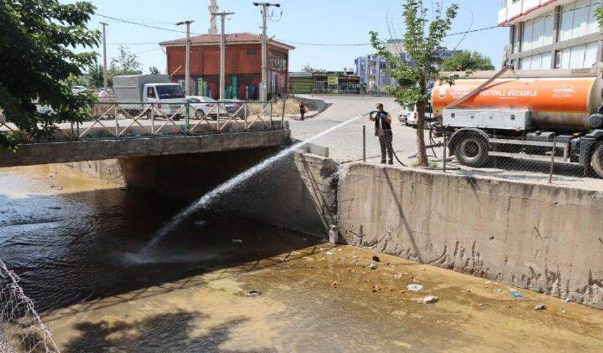 Şanlıurfa Büyükşehir Belediyesi 85 Personelle Sahaya İndi