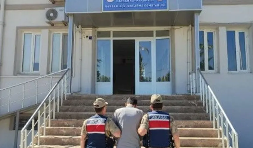 Şanlıurfa Harran’da Firari Hükümlü Operasyonu! Jandarma Ekipleri Yakaladı