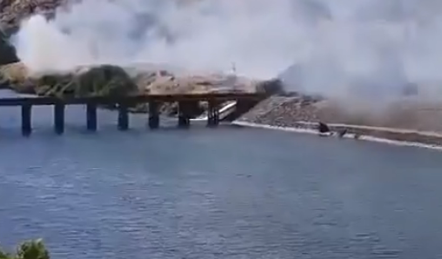 Şanlıurfa'da Piknik Keyfi Kabusa Döndü! Otluk Alan Alev Aldı
